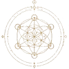 icone-associations-federations-.webp